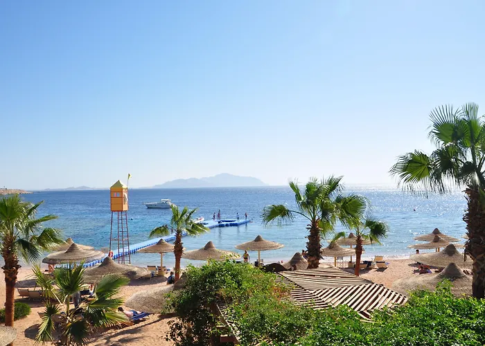 Resort Savoy Sheikh