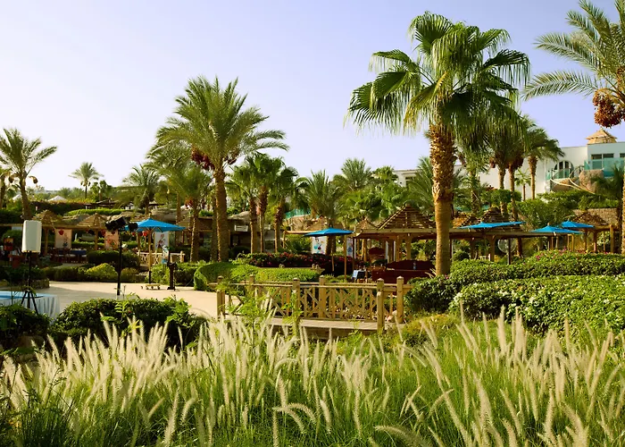 Resort Savoy Sheikh 5*